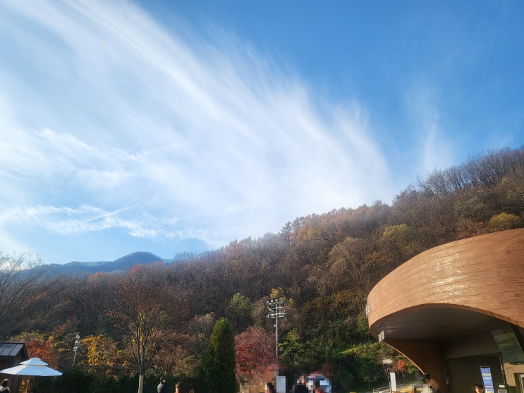  11월 마지막 주 떠나는 가을여행지 화담숲 사진에 담다