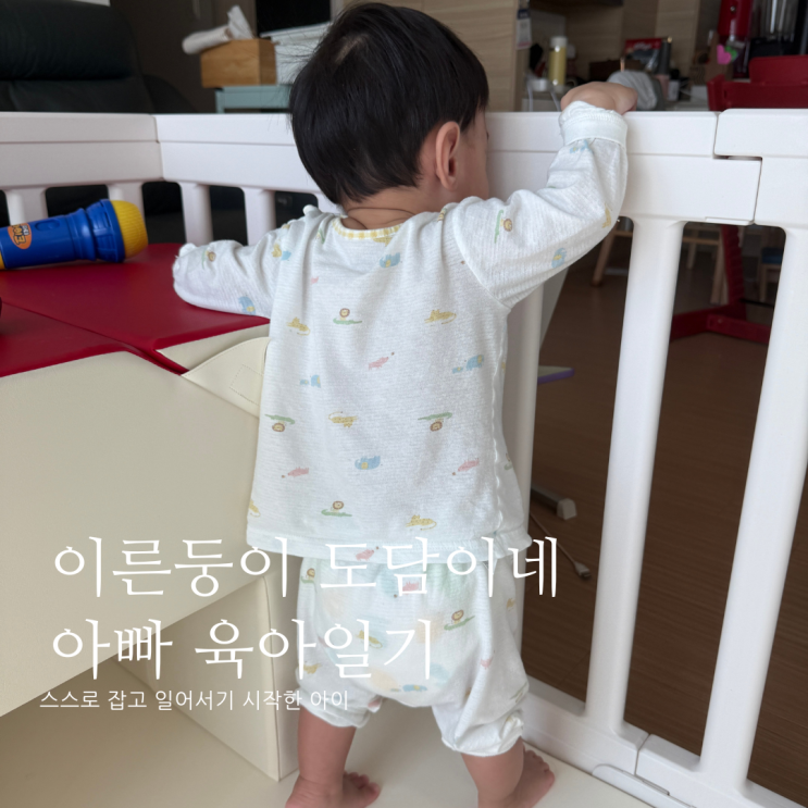 스스로 잡고 일어서기 시작한 아이 D+390 스스로 잡고 일어서기 시작한 아이 D+390