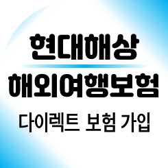 여행자보험싼곳, 여행자보험추천 현대해상 다이렉트 여행자보험 가입