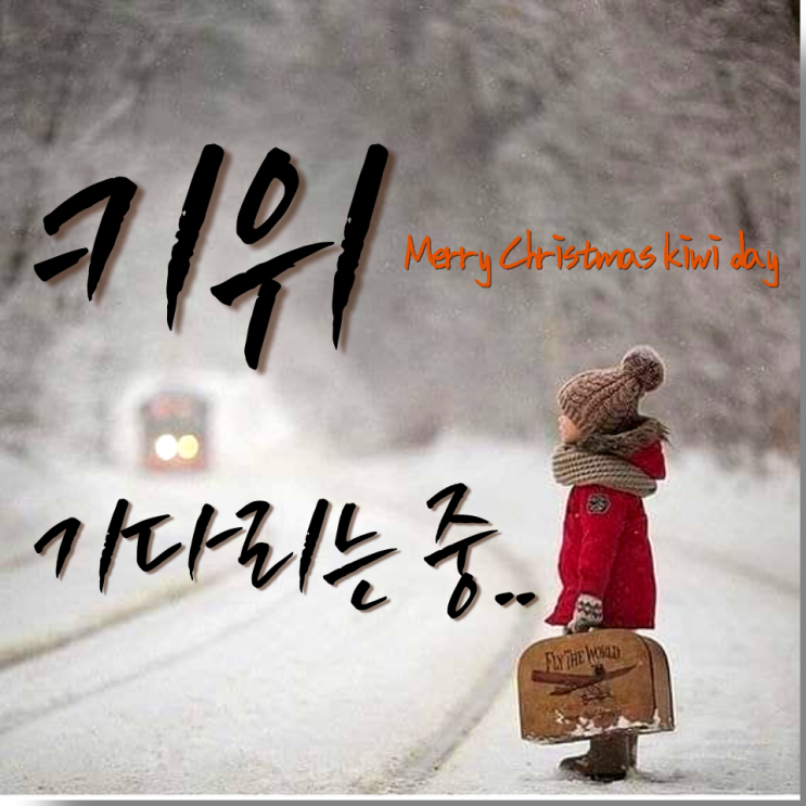  크리스마스 키위 데이