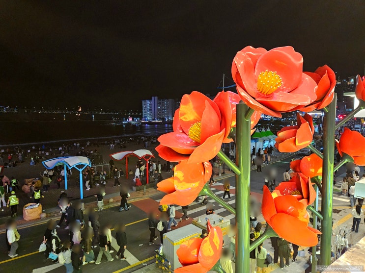  부산 광안리 카페, 부산불꽃축제를 볼 수 있는 오션뷰 한옥 퓨전 카페, 비엔나커피 광안리점