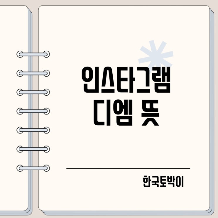  인스타그램 디엠 뜻 (DM 약어)
