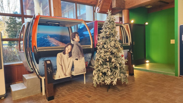  발왕산 모나파크 케이블카 & 스카이워크 여행 후기