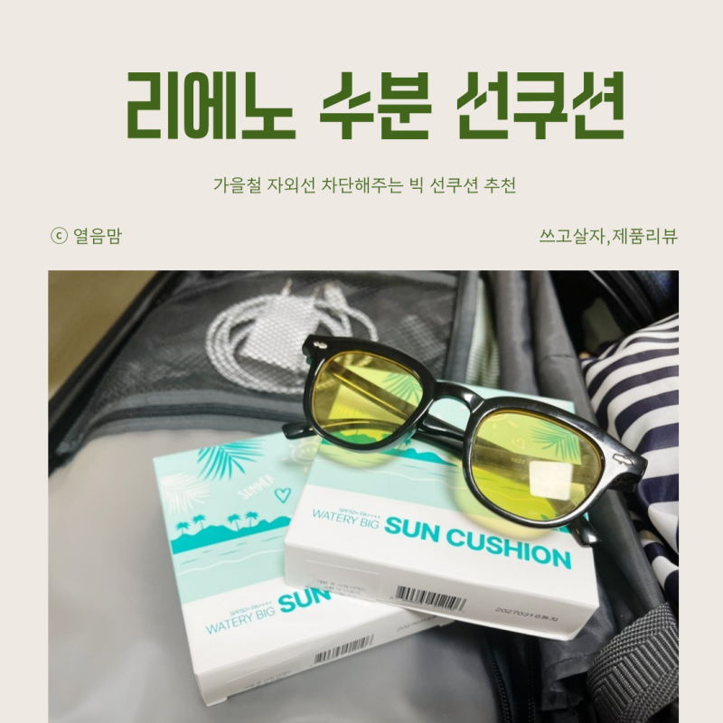 가을철 자외선 차단 리에노 수분 듬뿍 빅 선쿠션 후기