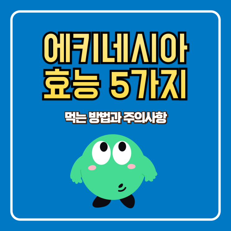  에키네시아 효능 먹는 법 부작용 및 주의사항