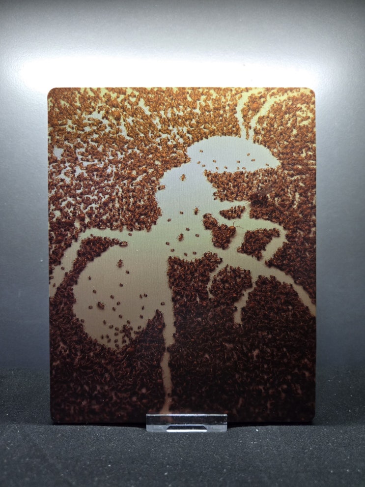  베르나르 베르베르의 개미 스틸북 (Empire of The Ants Limited Edition Steelbook)