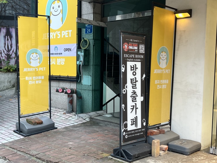 홍대방탈출카페 리얼이스케이프첼린지