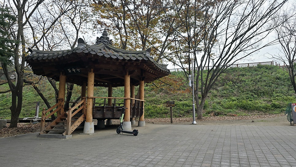 커피똥 사진 1