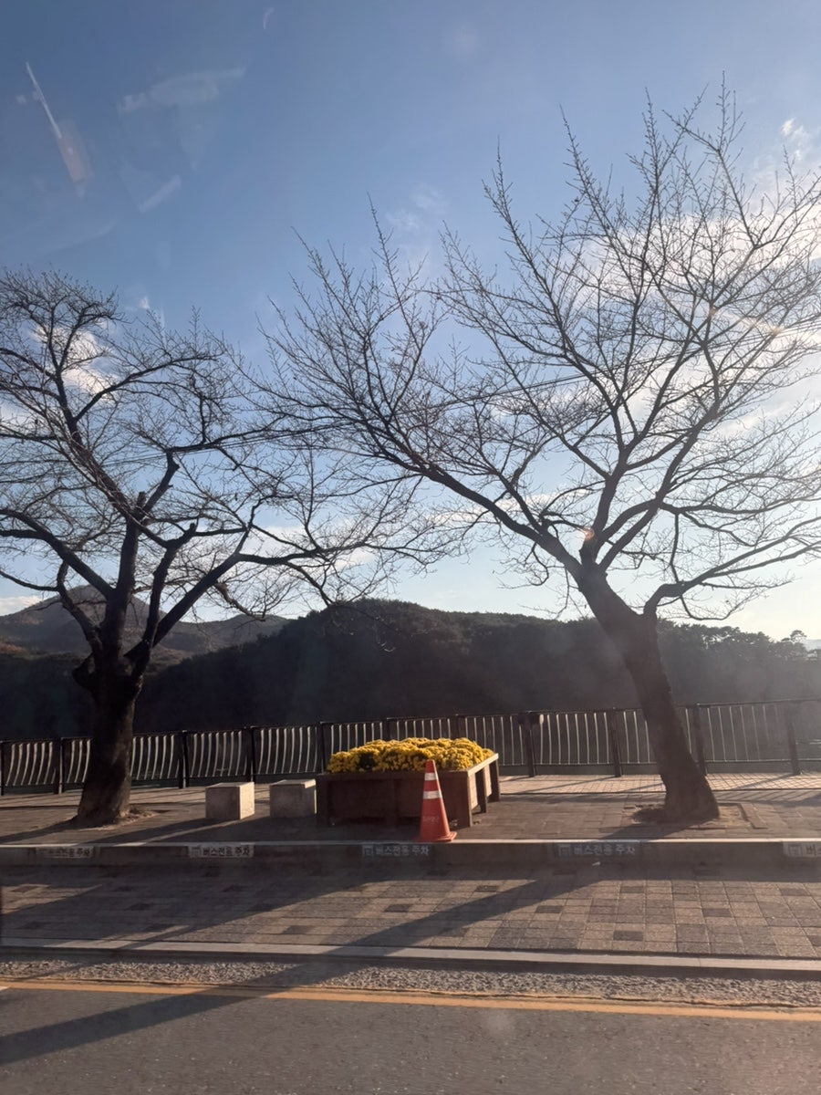 카페다우리 사진 4