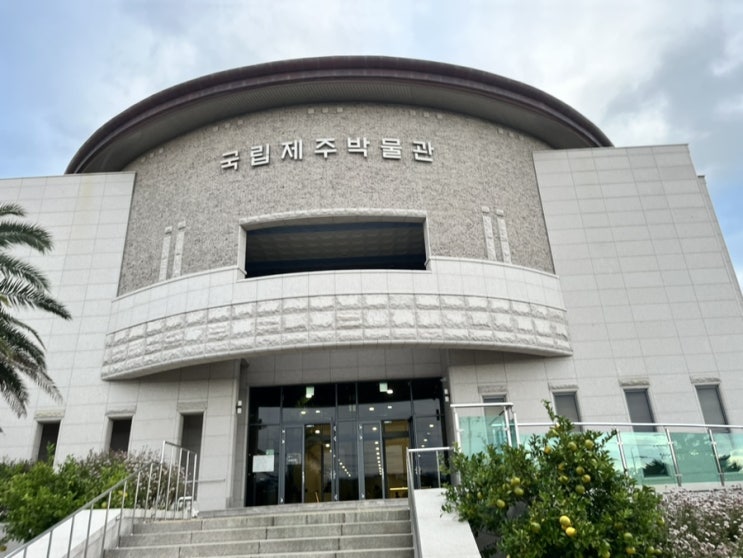  제주 비오는날 가볼만한 곳 국립제주박물관 어린이박물관 아이와 방문 후기