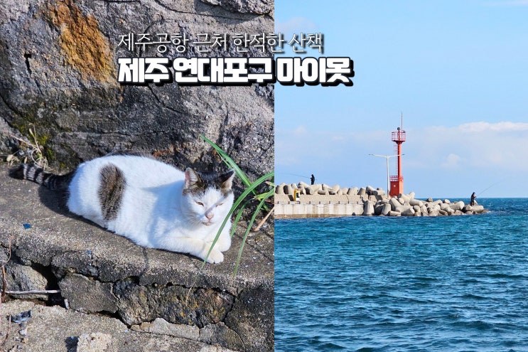  제주살이 한적한 바다 여행지 걷기좋은길 연대포구 마이못