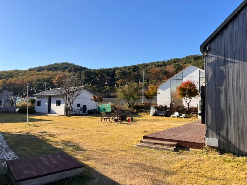 사진 5