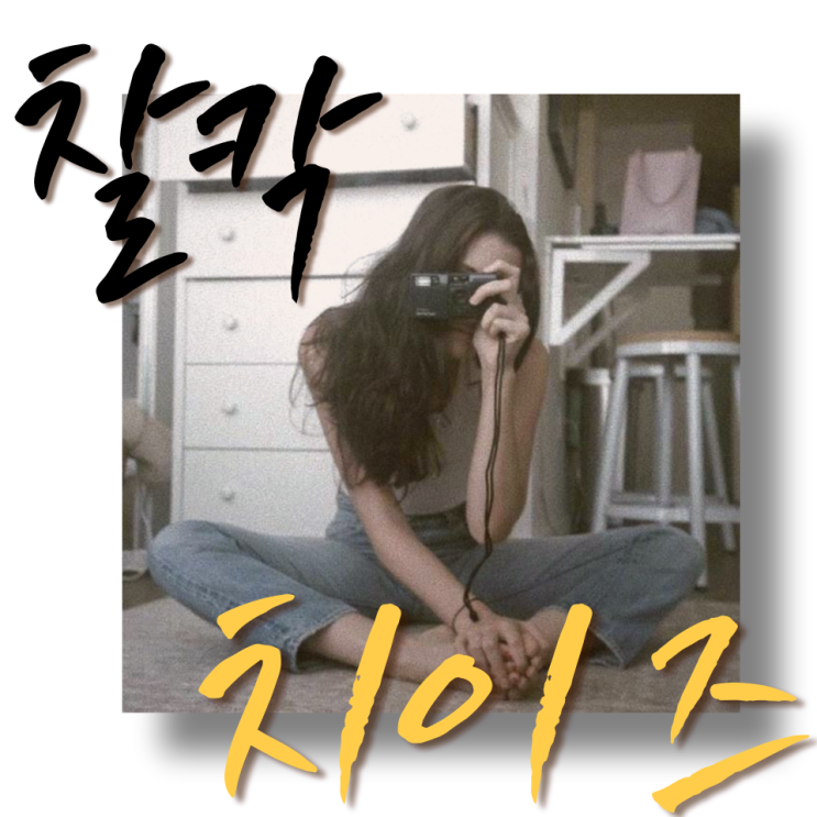  인생은 네컷의 치즈처럼