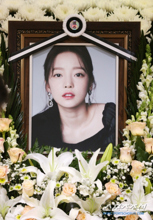 그리운 故<b>구하라 5주기</b> 금고 도난사건 여전히 미제 프로필