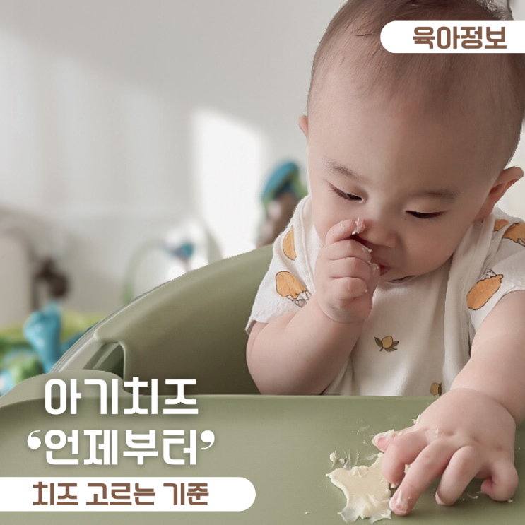  아기 첫 치즈 언제부터? 6개월 7개월 8개월 아기 치즈 효능까지 총정리