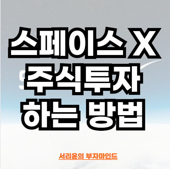 스페이스 X 주식 투자하는 방법 (Ft. SPACE X 관련주 및 DXYZ ETF)