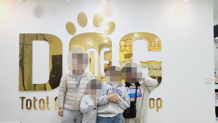  계룡 애견분양 원독,계룡 고객님과 세종 원독의 따뜻한 말티푸 분양 이야기