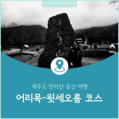  제주도 한라산 초급자 어리목-윗세오름 코스 첫 등반 후기