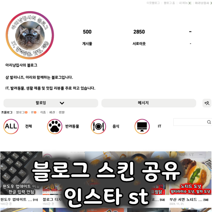  블로그 꾸미는 방법, 인스타 스타일 스킨 공유