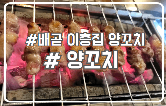  시흥 배곧 숨겨진 양꼬치 맛집 중국 본토 느낌 배곧2층양꼬치