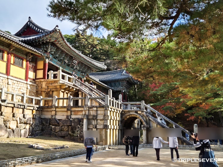  경주 불국사 주차정보, 불국사 3층 석탑, 다보탑, 대웅전