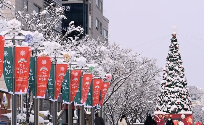  강릉 크리스마스 겨울축제 강릉시 월화거리