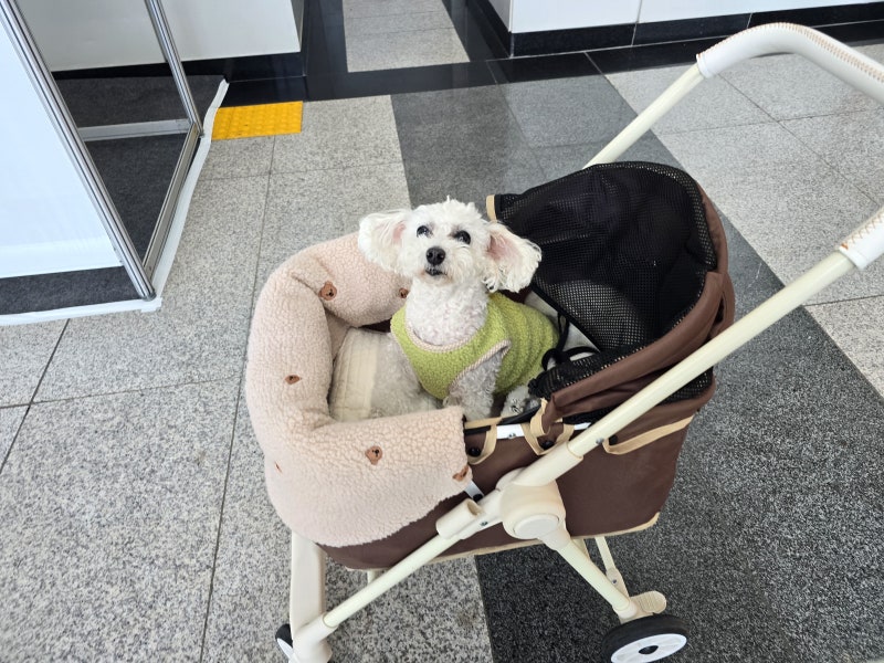 사진 4