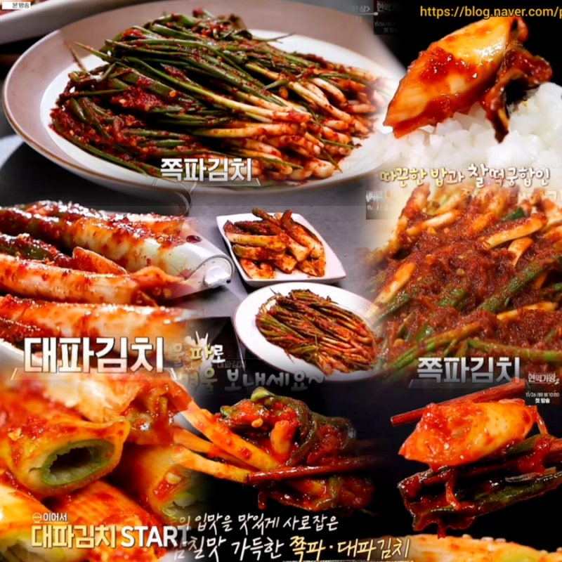 알토란 쪽파김치 양념 레시피 강순의 대파김치 담그는법