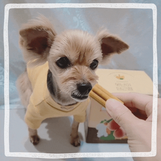  강아지덴탈껌, 오래먹는 치석제거 애견간식 로렌츠 당근껌