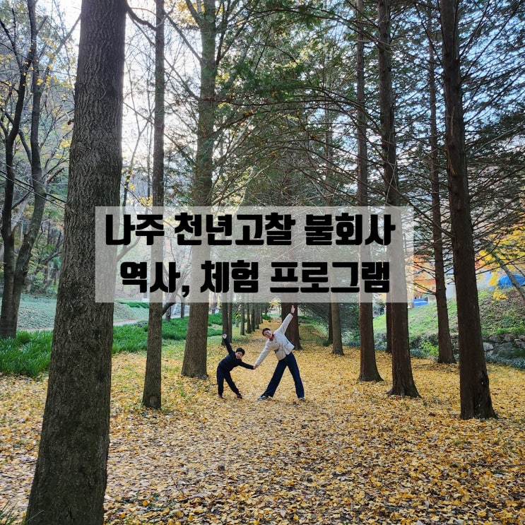  나주 단풍 명소 천년 고찰 불회사 역사, 체험 프로그램