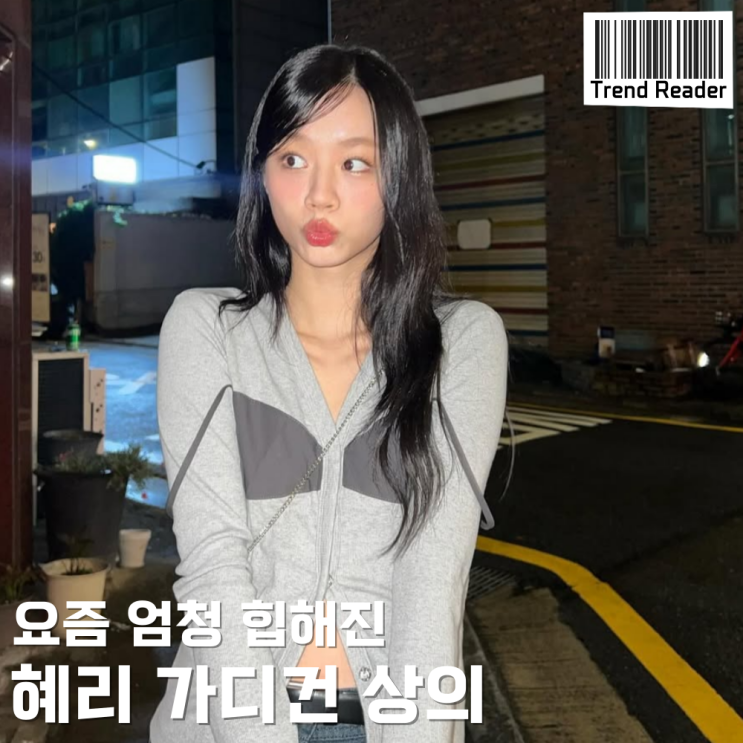  혜리 가디건? 브라탑? 아무튼 상의 정보 찾아옴