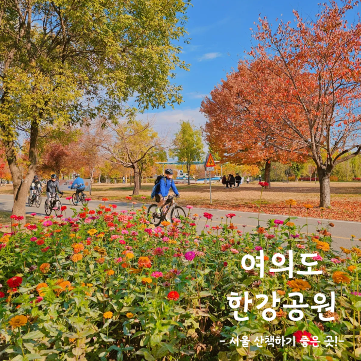 서울 산책하기 좋은 곳 여의도 한강공원 가볼만한곳 산책로 추천 서울 산책하기 좋은 곳 여의도 한강공원 가볼만한곳 산책로 추천