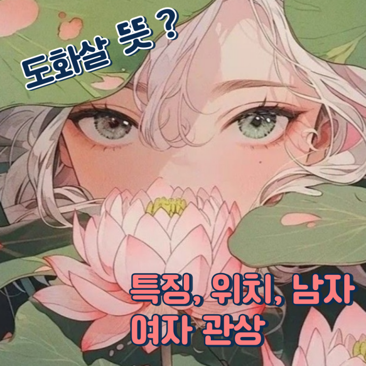  도화살 뜻 (특징, 위치, 남자, 여자, 관상)
