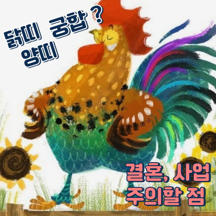  닭띠 양띠 궁합 (결혼, 사업, 주의할 점)