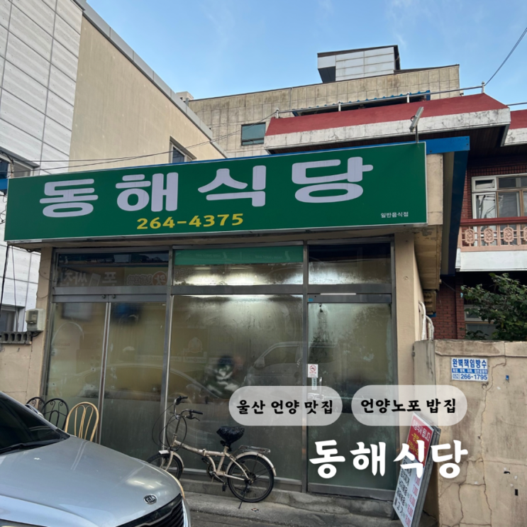  울산 언양 밥집 동해식당 노포 아침밥 맛집