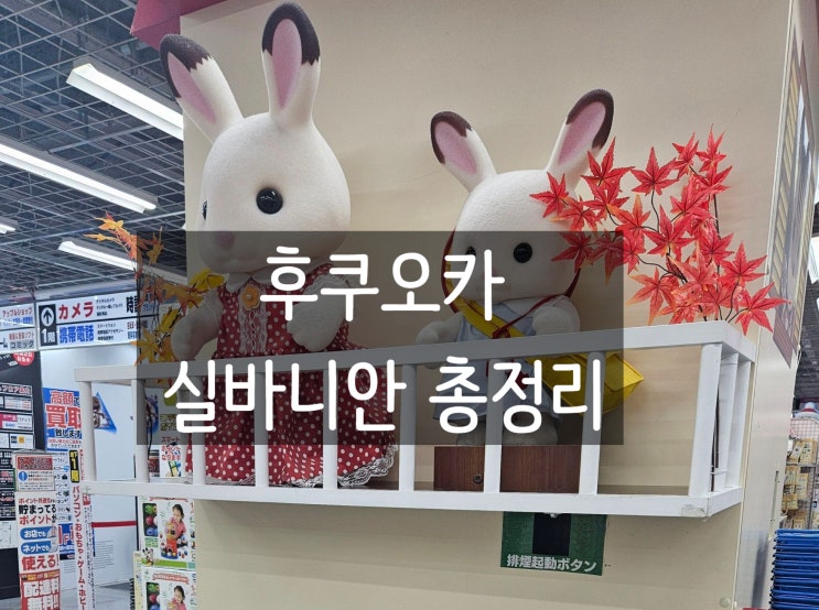  후쿠오카에서 만난 실바니안 인형 파는 곳 종류 정리
