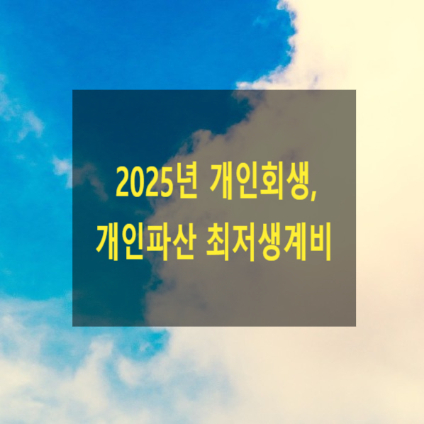  2025년 개인회생, 개인파산 최저생계비 - 2025년 기준 중위소득 및 생계‧의료급여 선정기준과 최저보장수준