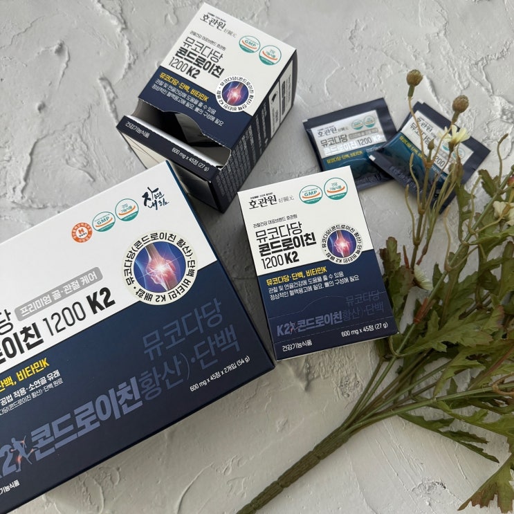 콘드로이친 효능 부작용 비교 선택했던 이유