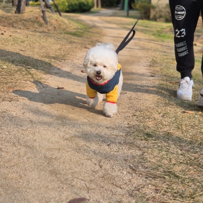 사진 3