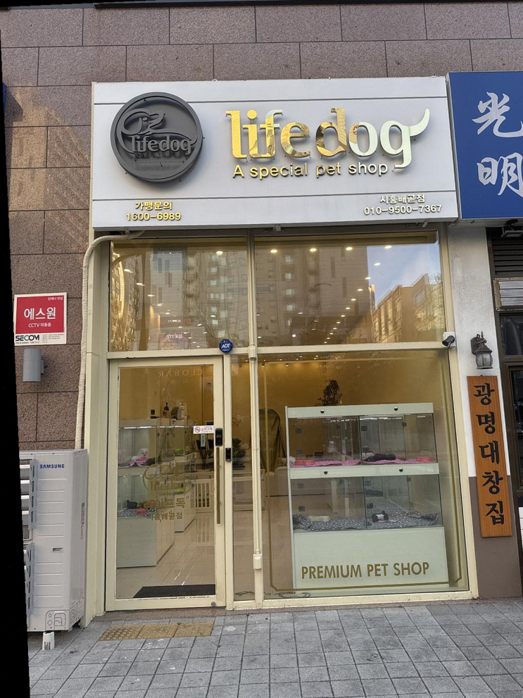  가족의 반려동물 찾기, 라이프독 시흥점에서 만난 귀여운 강아지들