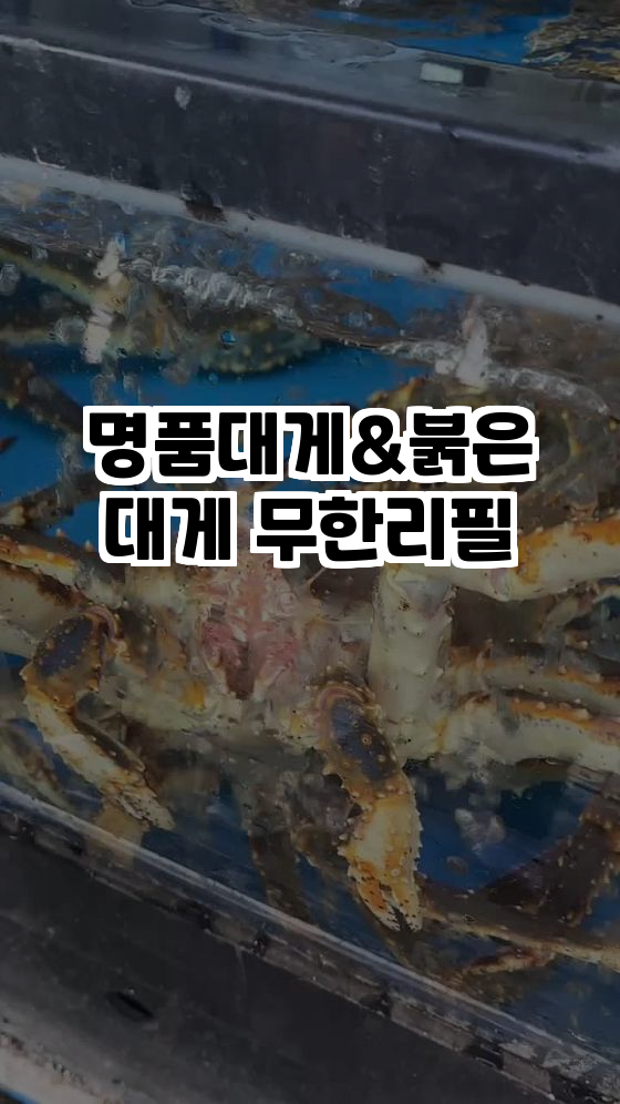  김포에서 즐기는 신선한 대게 무한리필 - 명품대게&붉은대게!