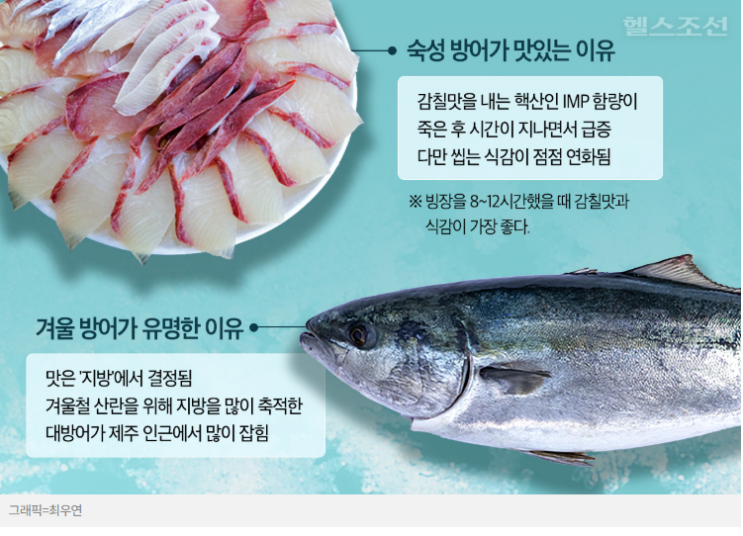 값비싼 ‘대방어회’ 가장 맛있게 먹는 방법 값비싼 ‘대방어회’ 가장 맛있게 먹는 방법