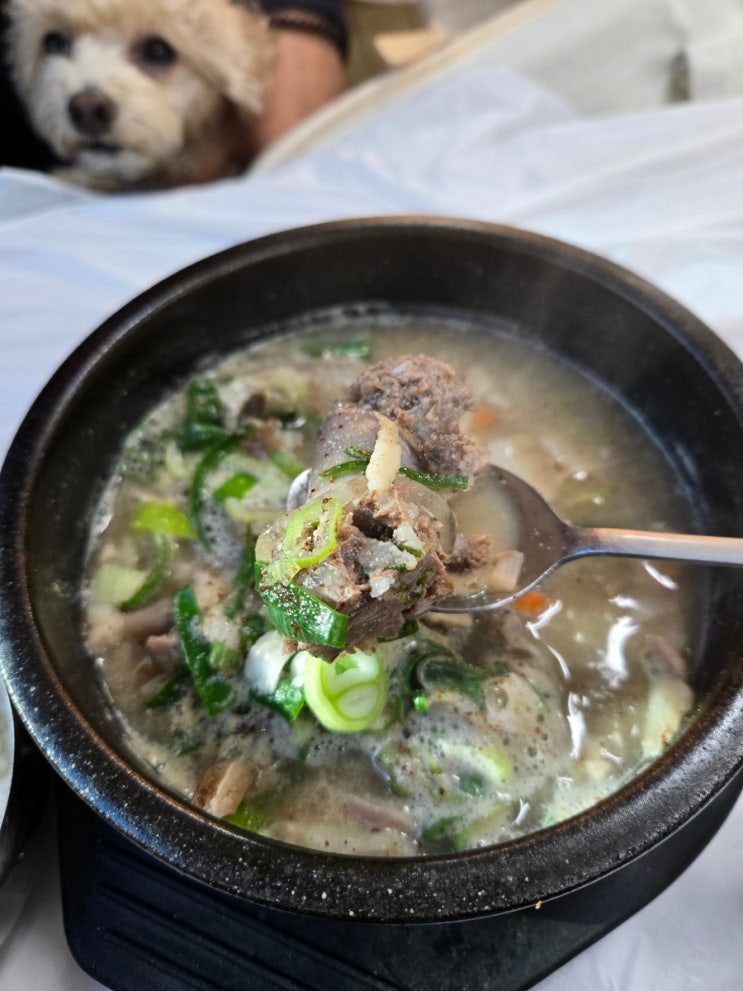  아바이마을 순대국 오징어순대 애견동반 맛집 북청전통아바이순대 2대본점