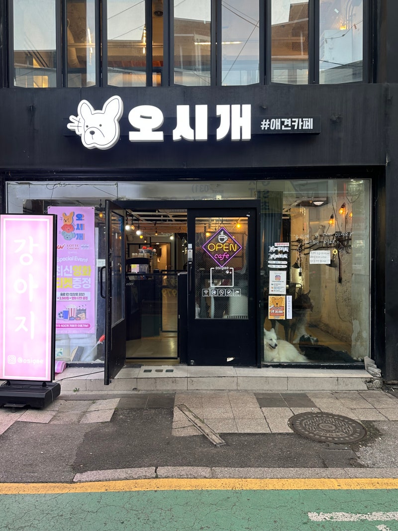 사진 3