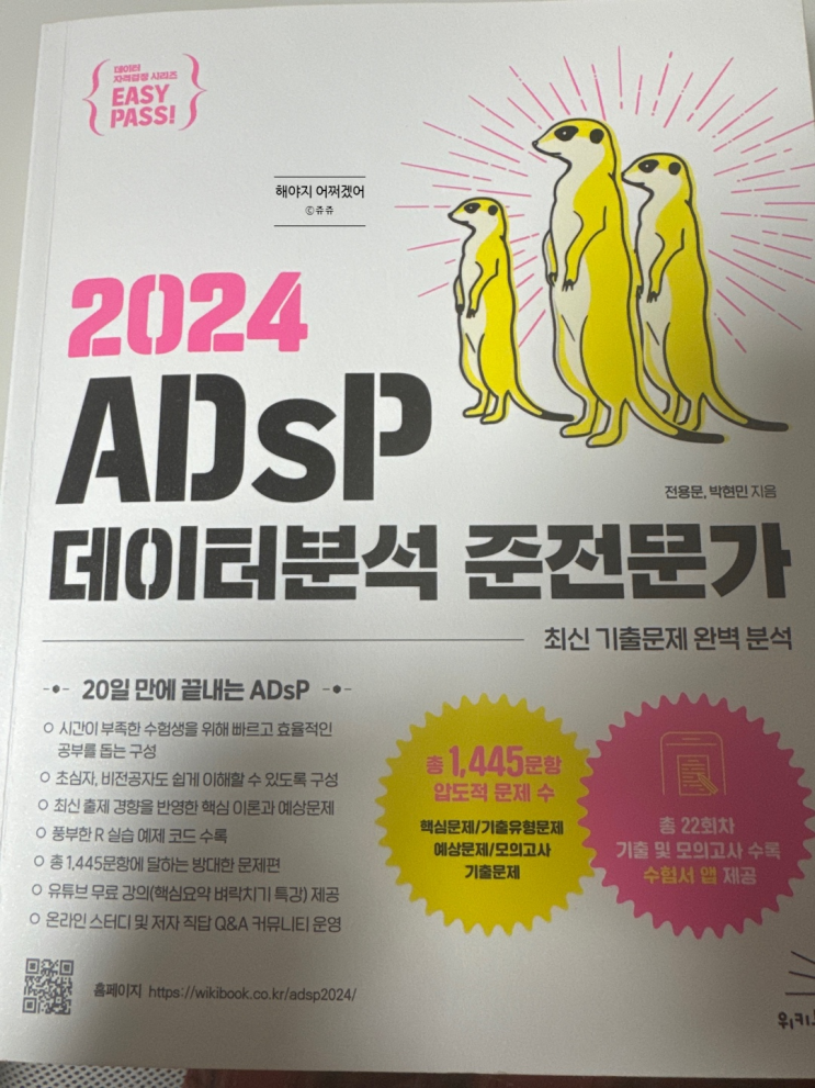  비전공자가 2주만에 ADsP 합격한 후기(feat. 미어캣 책)