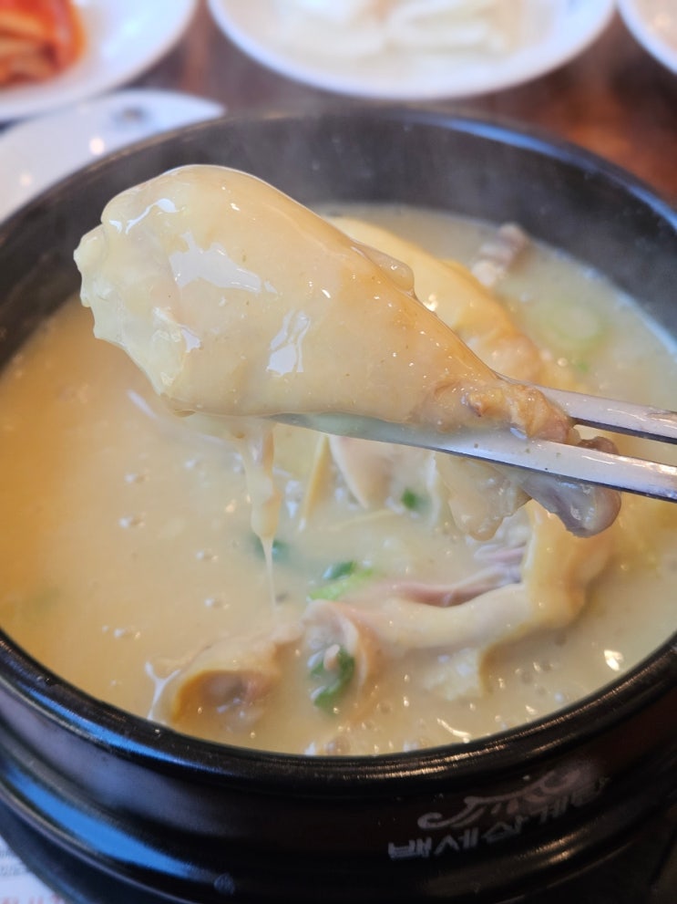  강동구 성내동 맛집 백세삼계탕 보양식 추천