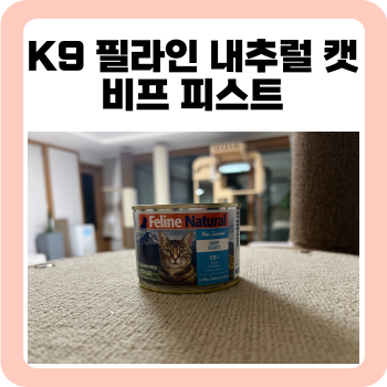  고단백 고양이 습식, K9 필라인 내추럴 비프 피스트
