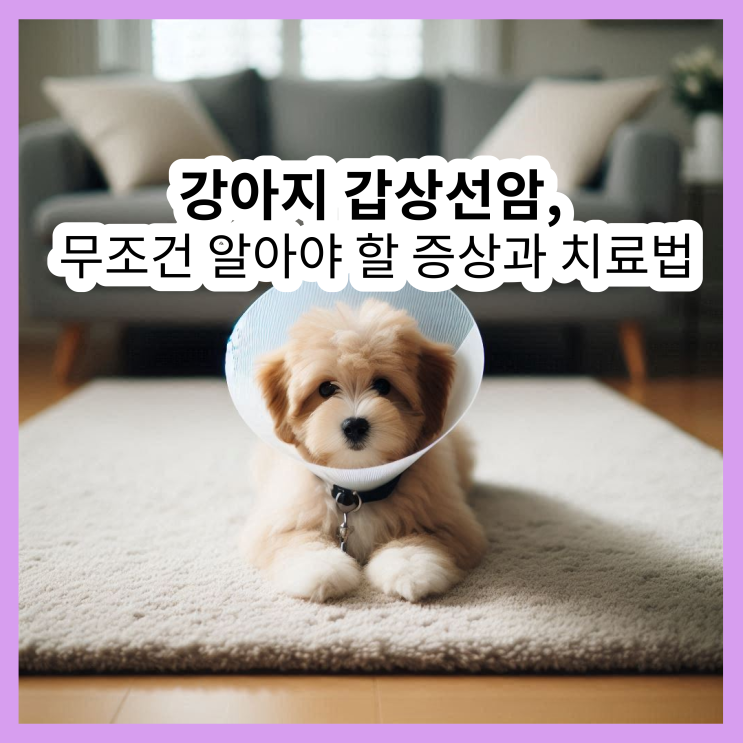  강아지 갑상선암: 무조건 알아야 할 진단, 증상, 치료법