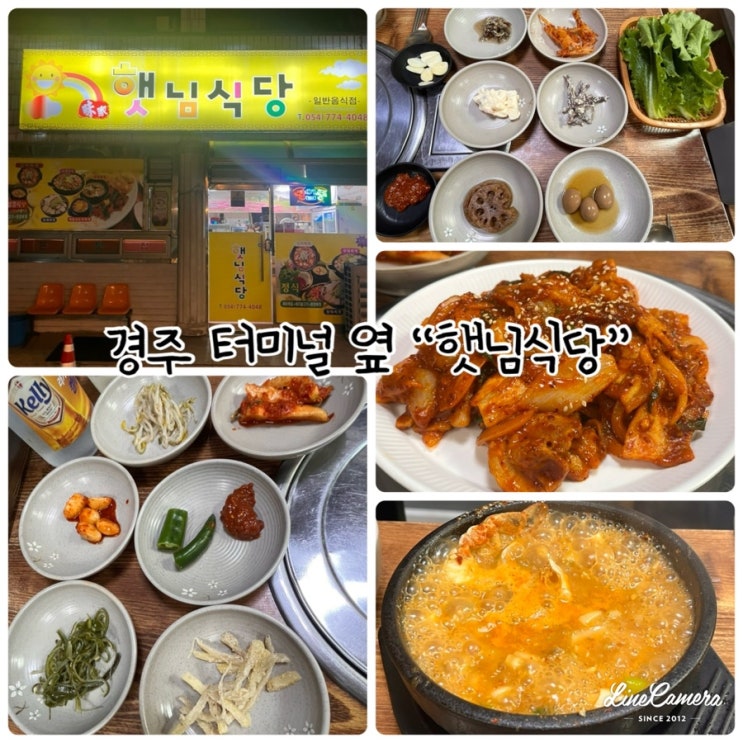 "경주 터미널 옆 햇님식당" 경주여행중 가장 맛있게 먹은 경주 찐맛집