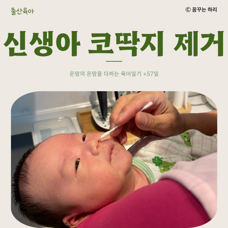  온맘의 육아일기 D+57일 8주차 수유텀 수면시간 신생아코딱지 제거방법 신생아콧물면봉